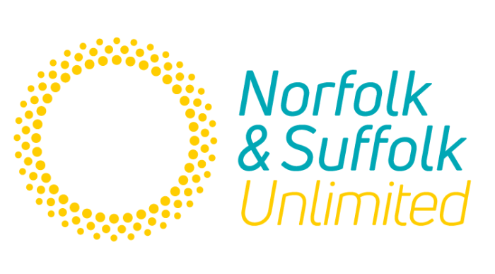 NSU logo